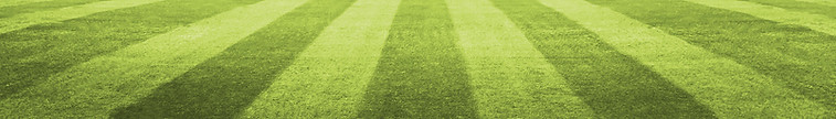 bg-footer-grass.jpg